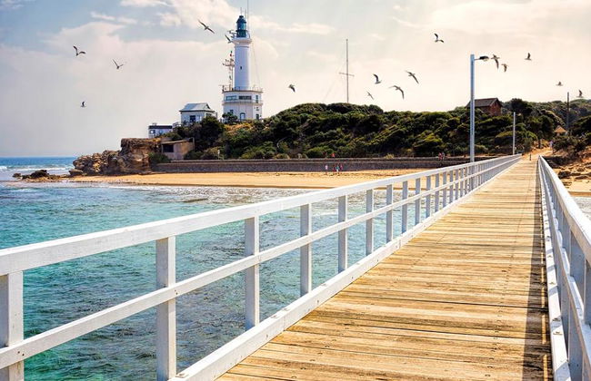 Passeios turísticos pela baía - Foto 4